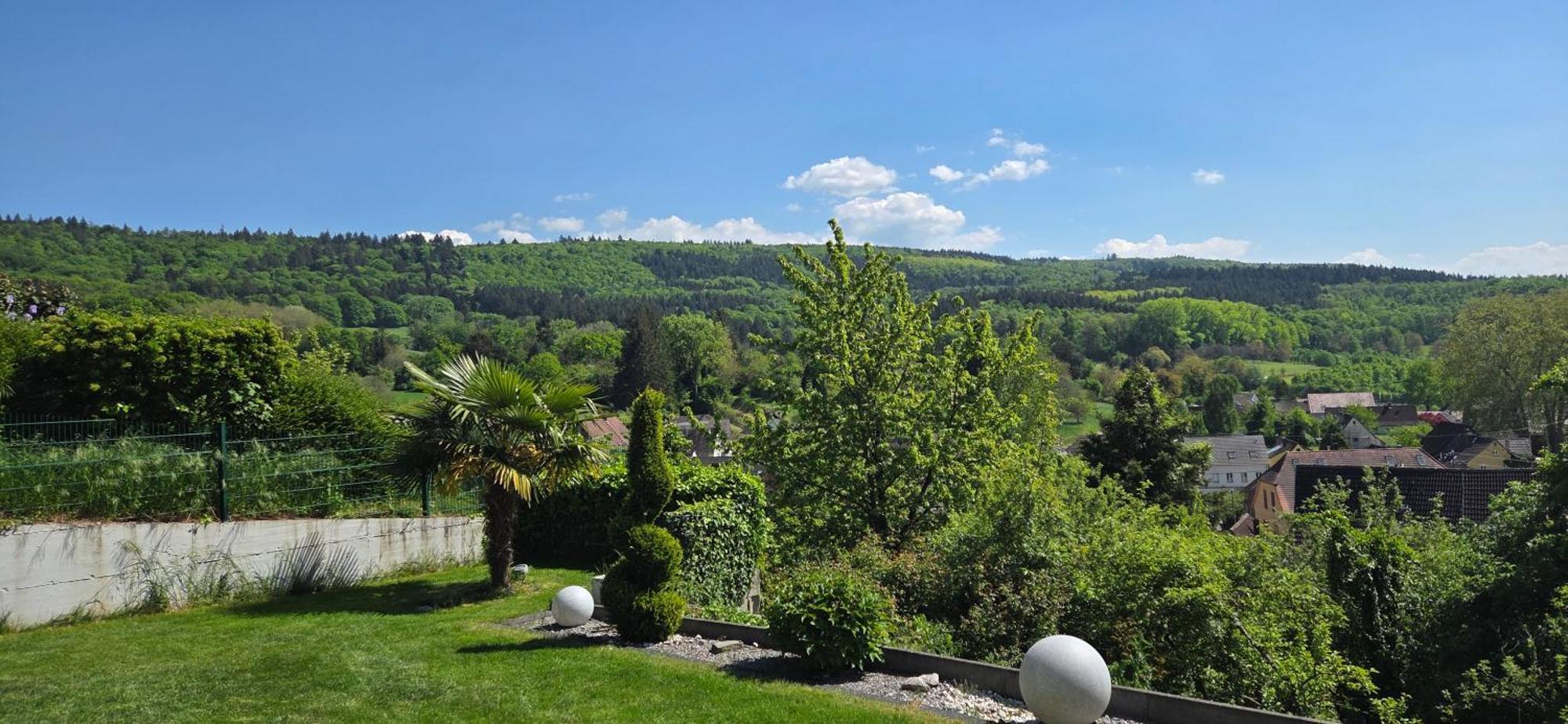 Ferienwohnung Schlossblick Kippenheim Kültér fotó
